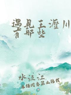 遇见王沥川歌曲有哪些