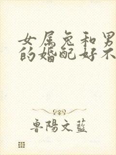 女属兔和男属蛇的婚配好不好