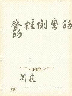 脊椎侧弯的支具的