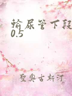 输尿管下段结石0.5