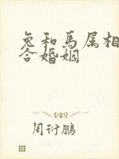 兔和马属相合不合婚姻