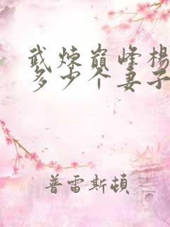 武炼巅峰杨开有多少个妻子