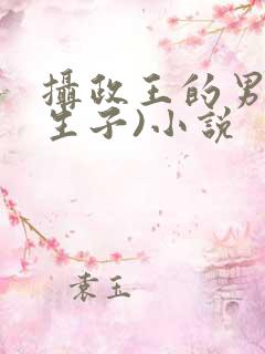 摄政王的男妃(生子)小说