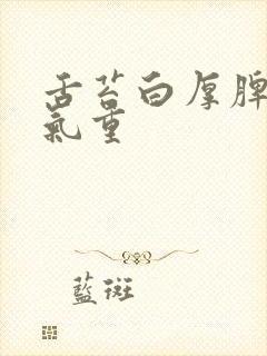 舌苔白厚脾虚湿气重