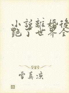 小说离婚后她惊艳了世界全文