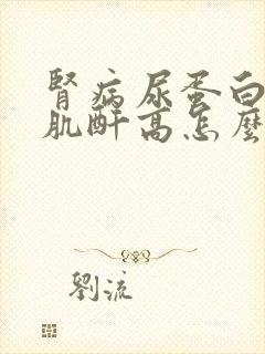 肾病尿蛋白3+肌酐高怎么治疗