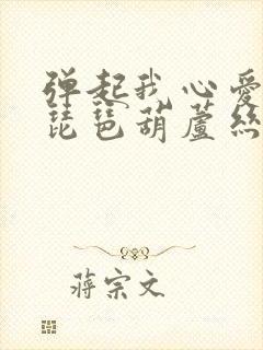 弹起我心爱的土琵琶葫芦丝动态曲谱