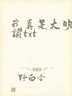 我真是大明星尝谕txt