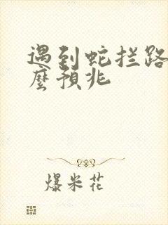 遇到蛇拦路有什么预兆