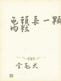 龟头长一颗颗小肉粒