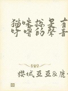 猫咪总是有呼噜呼噜的声音