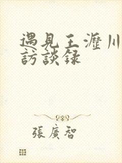 遇见王沥川导演访谈录