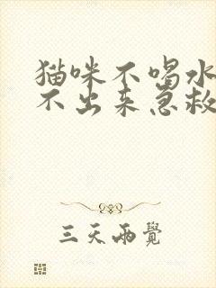 猫咪不喝水也尿不出来急救办法