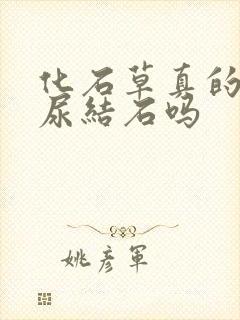 化石草真的能化尿结石吗