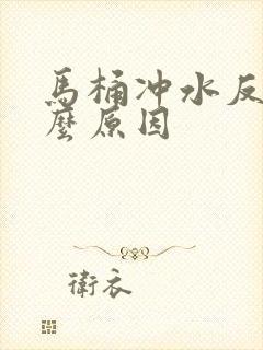 马桶冲水反味什么原因