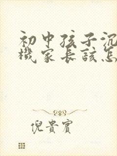 初中孩子沉迷手机家长该怎样引导