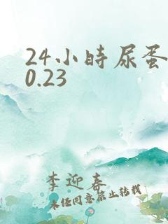 24小时尿蛋白0.23