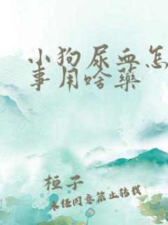 小狗尿血怎么回事用啥药