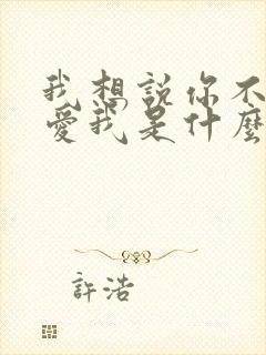 我想说你不是不爱我是什么歌