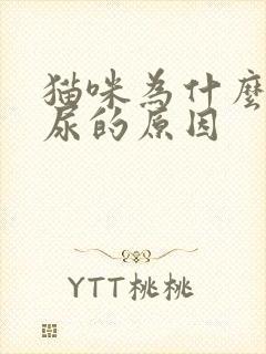 猫咪为什么会闭尿的原因