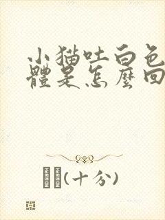 小猫吐白色的液体是怎么回事