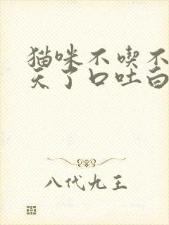 猫咪不吃不喝三天了口吐白沫