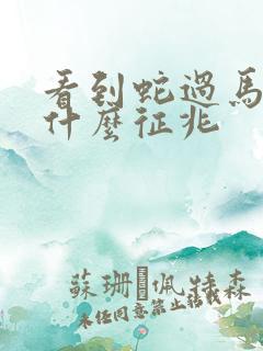 看到蛇过马路是什么征兆