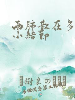 两肺散在多枚微小结节