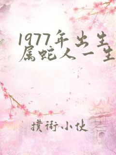 1977年出生属蛇人一生命运