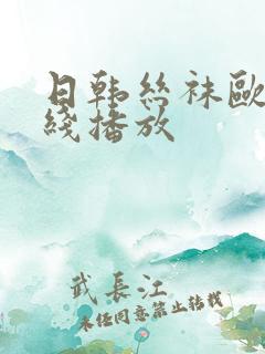 日韩丝袜欧美在线播放