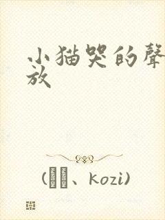 小猫哭的声音播放