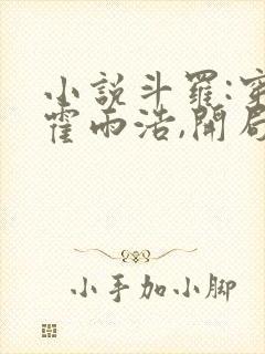 小说斗罗:穿越霍雨浩,开局拜师药老