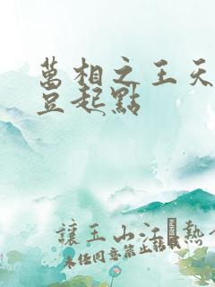 万相之王天蚕土豆起点