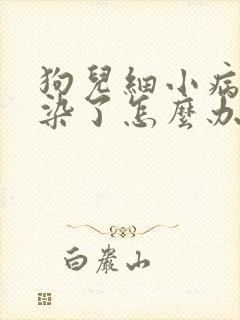 狗儿细小病毒感染了怎么办