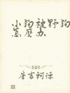 小狗被野狗咬了怎么办