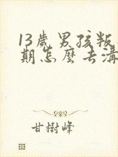 13岁男孩叛逆期怎么去沟通