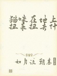 猫咪在地上打滚扭来扭去什么意思