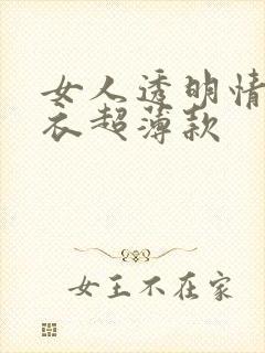 女人透明情趣内衣超薄款