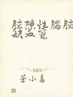 腔隙性脑腔梗塞缺血灶