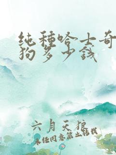 纯种哈士奇犬小狗多少钱