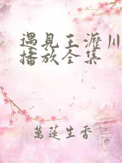 遇见王沥川在线播放全集