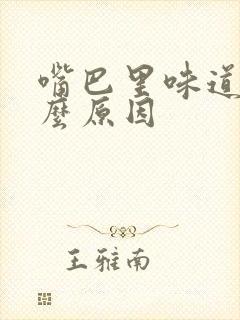 嘴巴里味道大什么原因