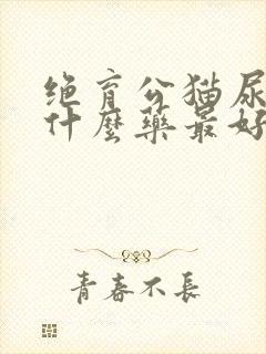 绝育公猫尿血吃什么药最好