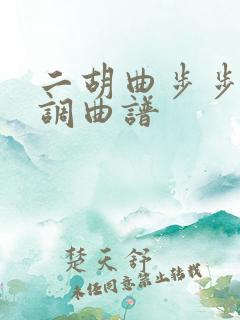 二胡曲步步高d调曲谱