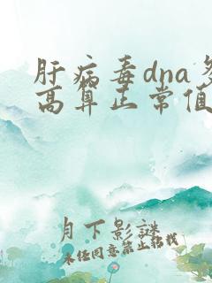 肝病毒dna多高算正常值