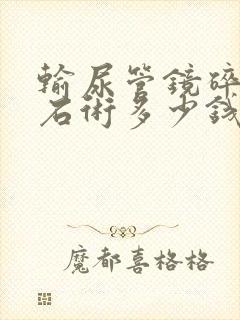 输尿管镜碎石取石术多少钱