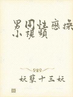 男同性恋操屁眼小视频