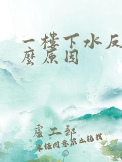 一楼下水反味什么原因