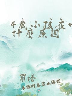 4岁小孩夜咳是什么原因