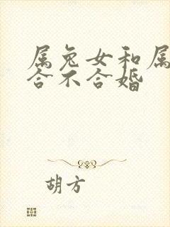 属兔女和属马的合不合婚